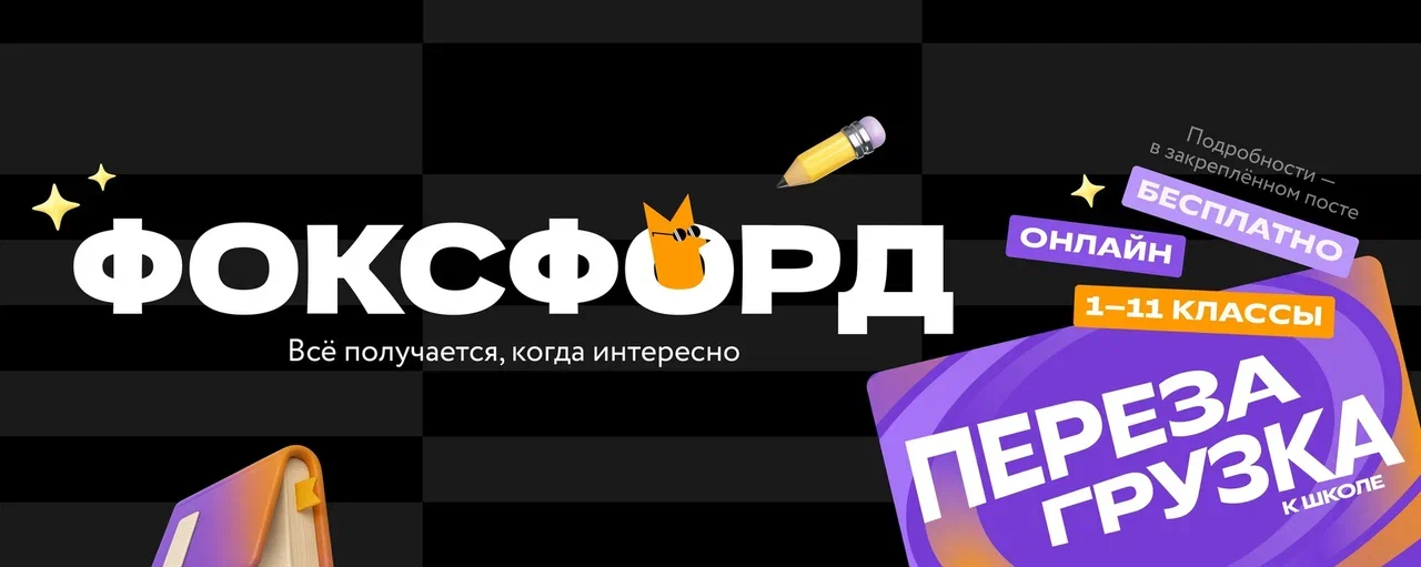 Экстернат в 10–11 классах: как учиться в своём ритме и успешно сдать ЕГЭ